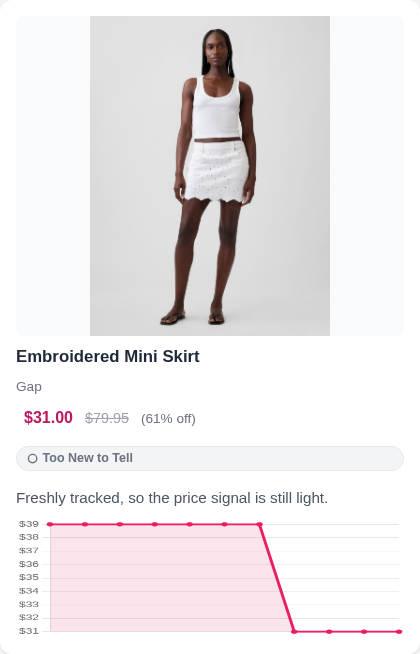 Embroidered Mini Skirt