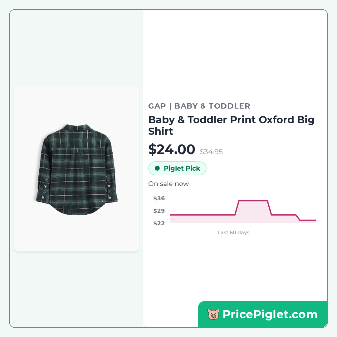 Baby & Toddler Print Oxford Big Shirt