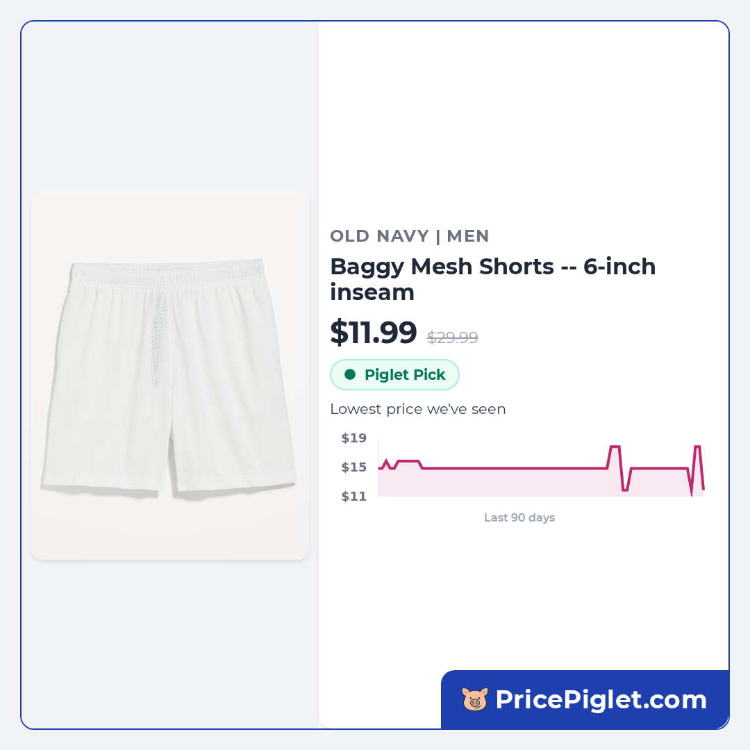 Baggy Mesh Shorts -- 6-inch inseam
