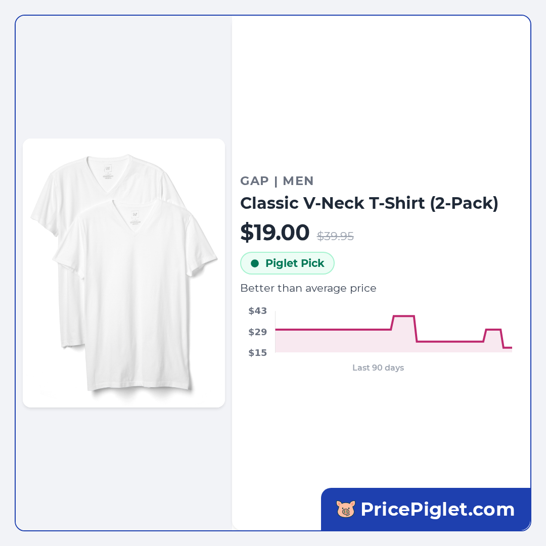 Classic V-Neck T-Shirt (2-Pack)