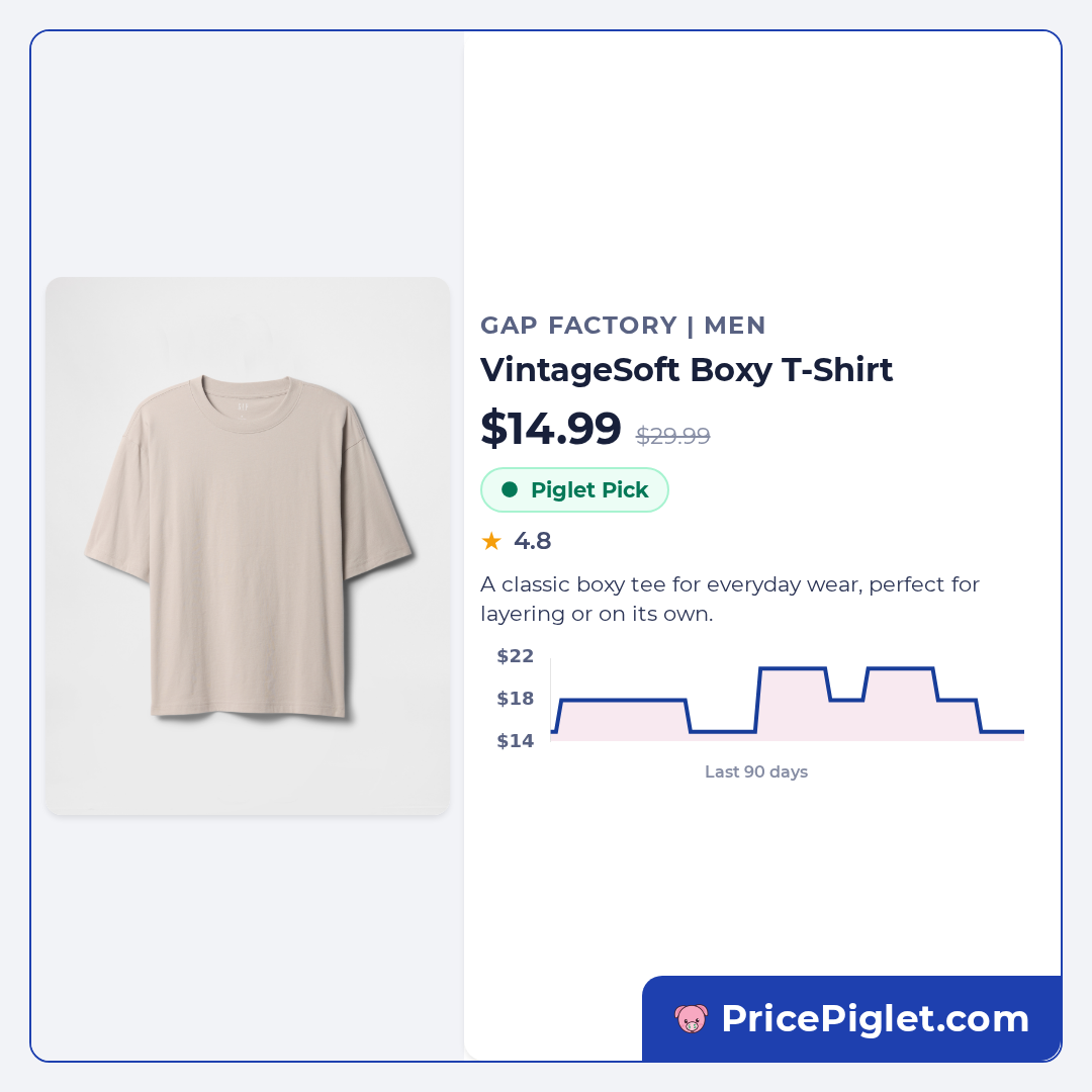 VintageSoft Boxy T-Shirt