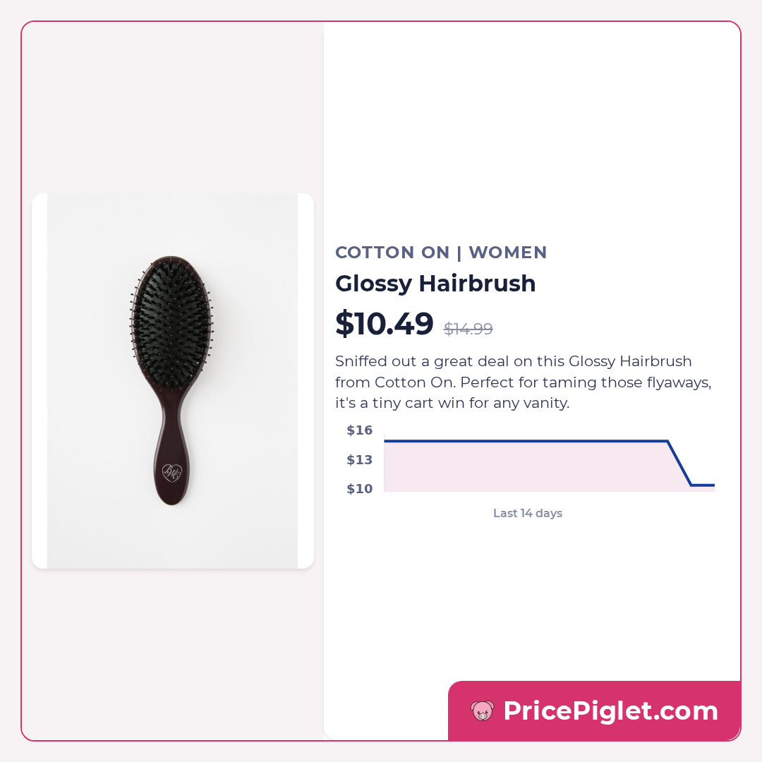 Glossy Hairbrush