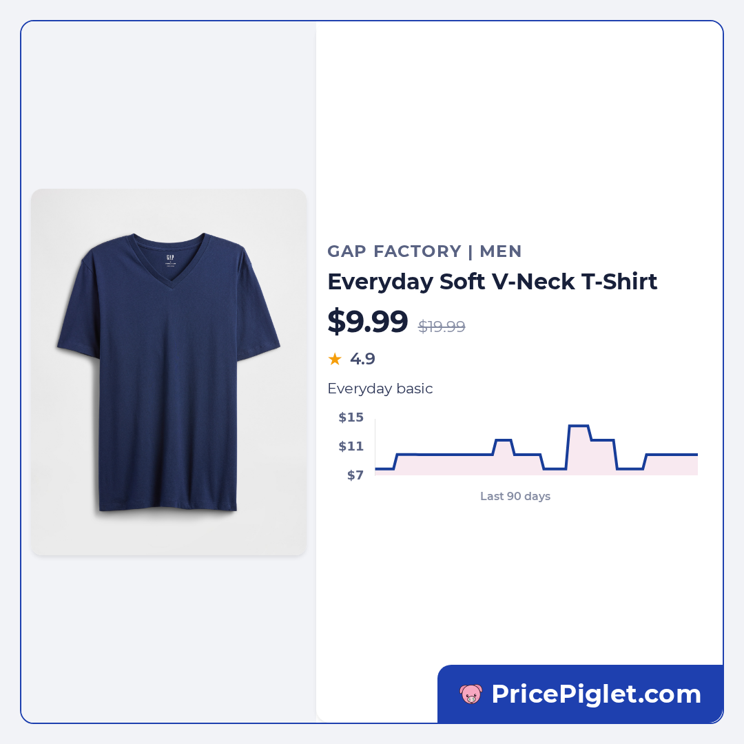 Everyday Soft V-Neck T-Shirt