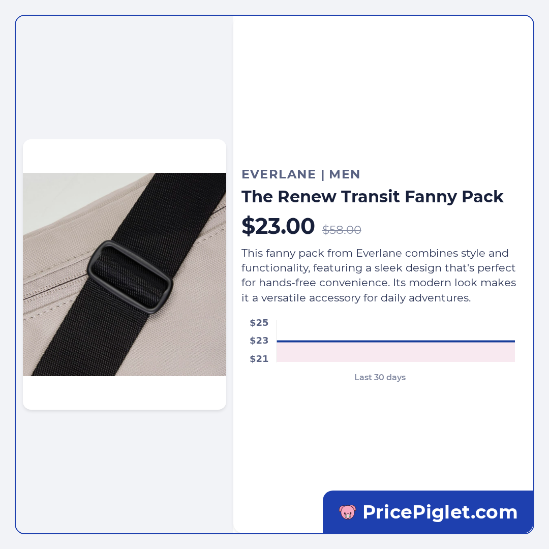 The Renew Transit Fanny Pack