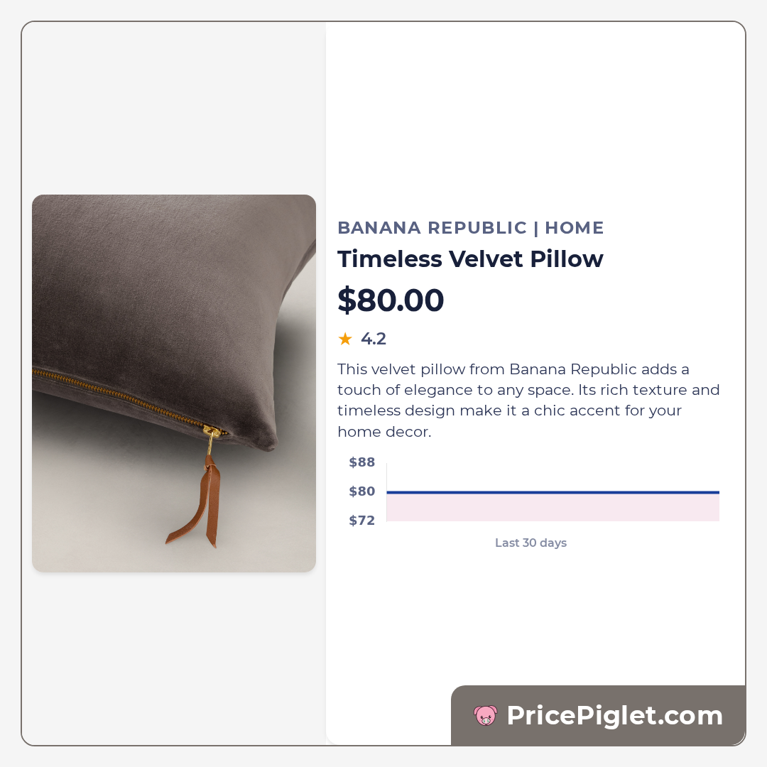 Timeless Velvet Pillow